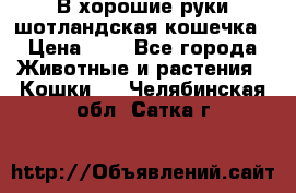 В хорошие руки шотландская кошечка › Цена ­ 7 - Все города Животные и растения » Кошки   . Челябинская обл.,Сатка г.